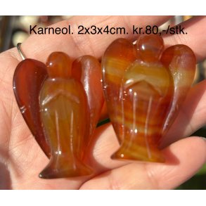 Karneol. 2x3x4cm. 