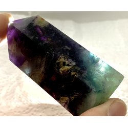 Fjer regnbue flourit trn -14