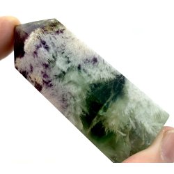 Fjer regnbue flourit trn -8