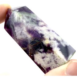 Fjer regnbue flourit trn -8