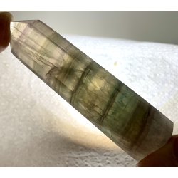 Multi regnbue flourit trn-19