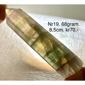 Multi regnbue flourit trn-19