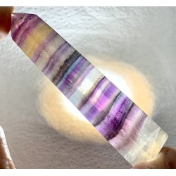 Multi regnbue flourit trn-6