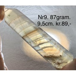 Multi regnbue flourit trn-9