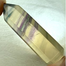 Multi regnbue flourit trn-7