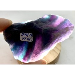 Natur r bl-regnbue flourit-7