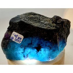 Natur r bl-regnbue flourit-4