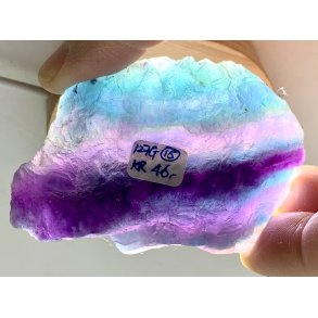 Natur r bl-regnbue flourit-15