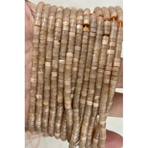 Solsten 2x4mm skive. 38cm lang. Nr8