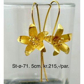 S925 sterling slv rering-71