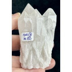 Natur r kaktus bjergkrystal-8