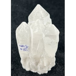 Natur r kaktus bjergkrystal-8