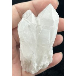 Natur r kaktus bjergkrystal-8