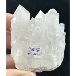 Natur r kaktus bjergkrystal-21