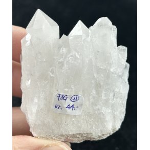 Natur r� kaktus bjergkrystal-21