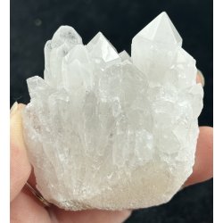 Natur r kaktus bjergkrystal-21