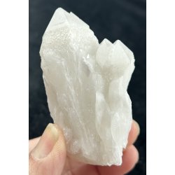 Natur r� kaktus bjergkrystal-12