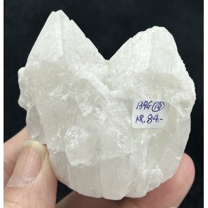 Natur r� kaktus bjergkrystal-19