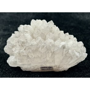 Natur r� kaktus bjergkrystal-14