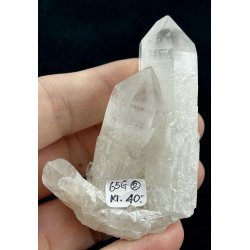 Natur r kaktus bjergkrystal-2