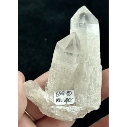 Natur r kaktus bjergkrystal-2