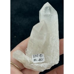 Natur r kaktus bjergkrystal-2