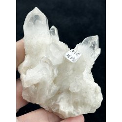 Natur r kaktus bjergkrystal-1