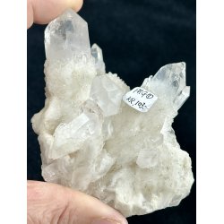 Natur r kaktus bjergkrystal-1