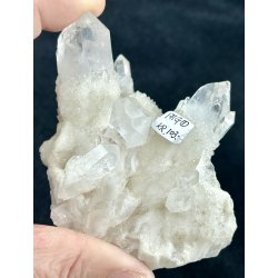 Natur r kaktus bjergkrystal-1