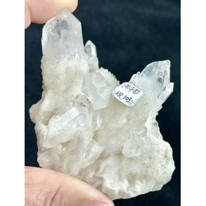 Natur r kaktus bjergkrystal-1