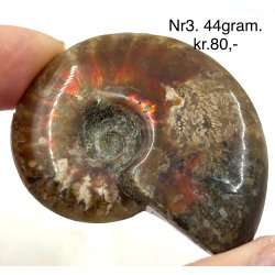 Ammonit opaliseret-3