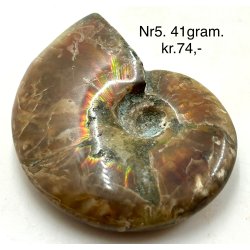 Ammonit opaliseret-5