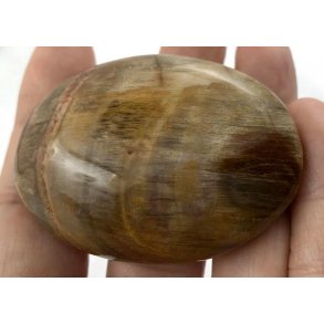 forstenet tr palmsten