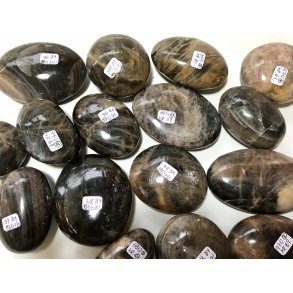 Sort mnesten palmsten