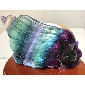 Regnbue flourit kranie