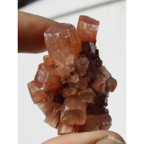 Aragonite klynge 
